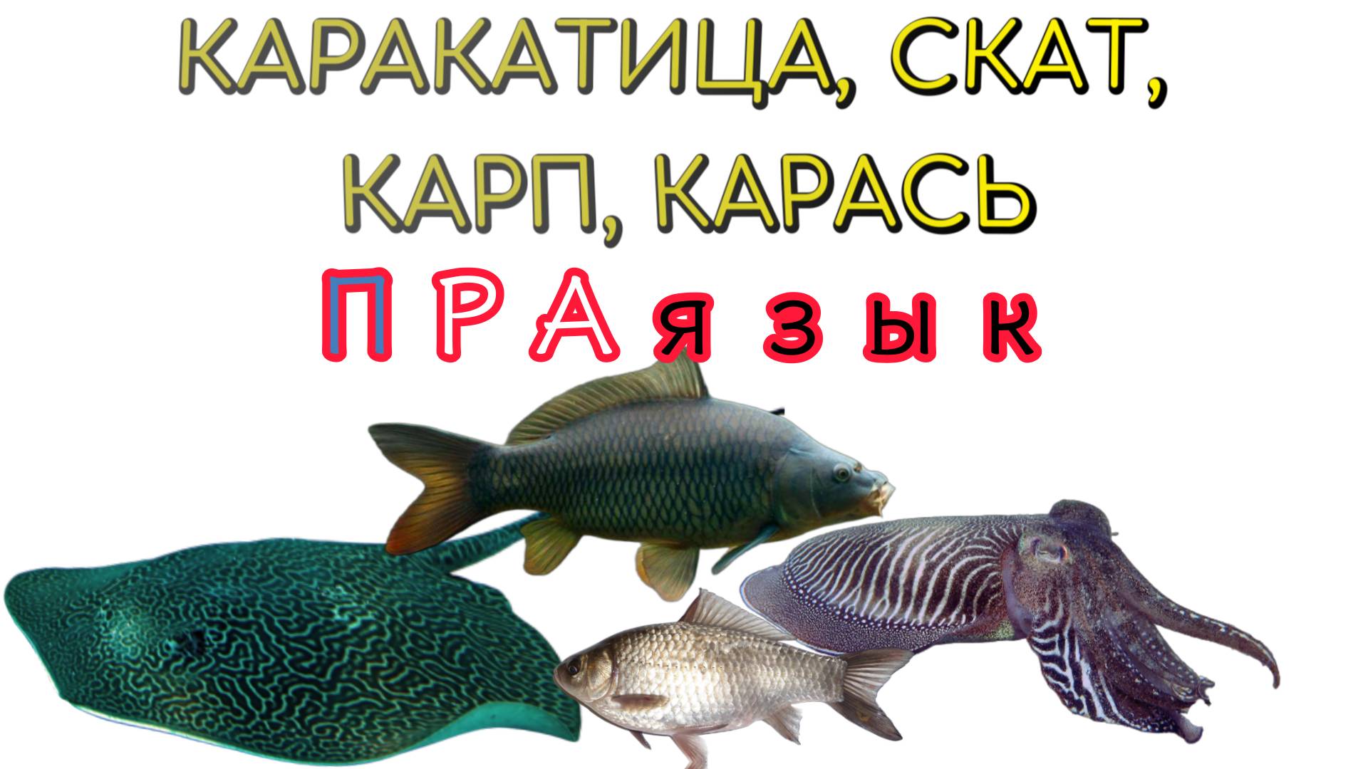 Каракатица, скат, карп, карась