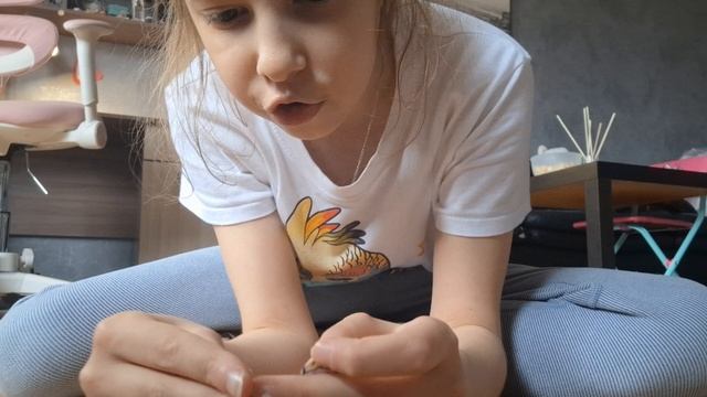 необычный формат видео- Бумажный дом из коробок для собак телёнка и щенка Ну и попугайчика😝