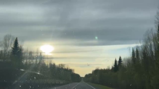 My live По тропинкам русских лесов