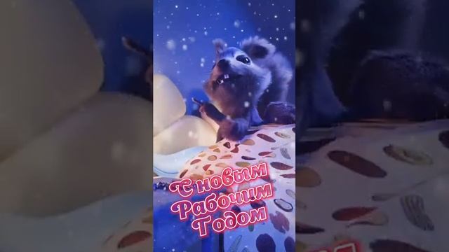 Вот и праздничкам конец! Если выжил молодец ✊