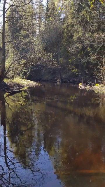 Любимые места