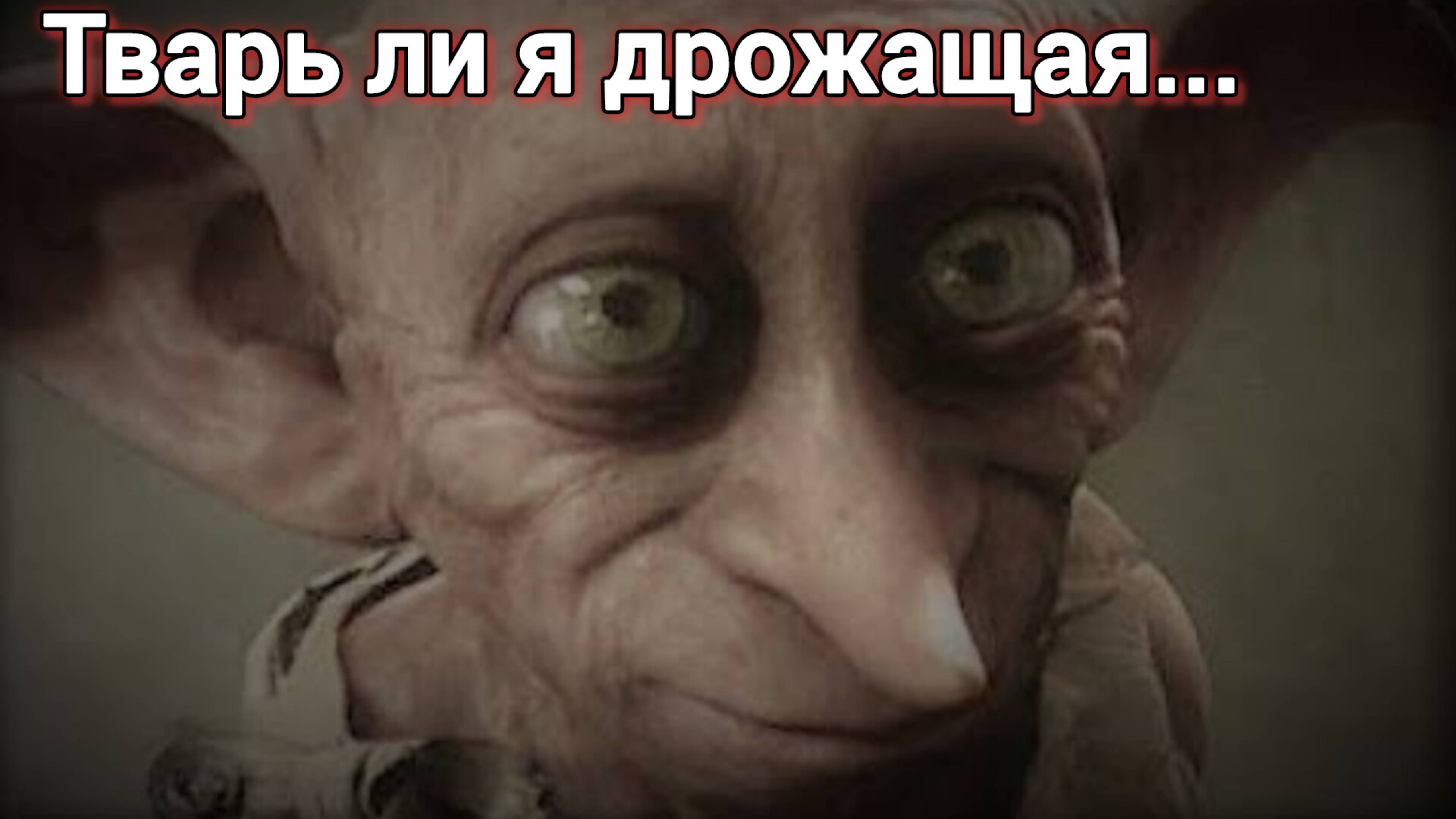 История пи.ТВАРЬ ЛИ Я ДРОЖАЩАЯ ИЛИ ПРАВО ИМЕЮ? ГРАЖДАНИН ИЛИ...