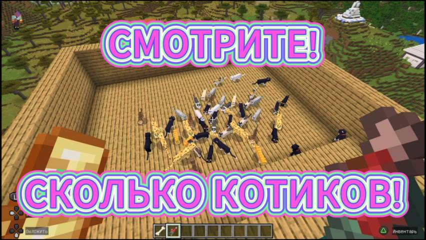Играем c Амира Кэт в Minecraft (Майнкрафт) - СМОТРИТЕ! СКОЛЬКО КОТИКОВ!
