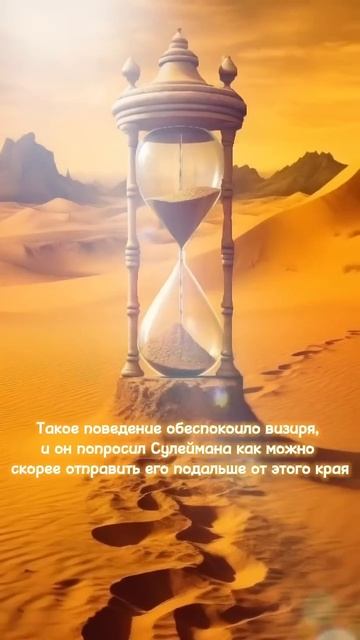 ИСТОРИЯ ВИЗИРЯ