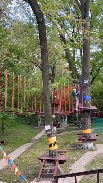 В парке им. Щербакова заработал верёвочный парк Лень в пень
