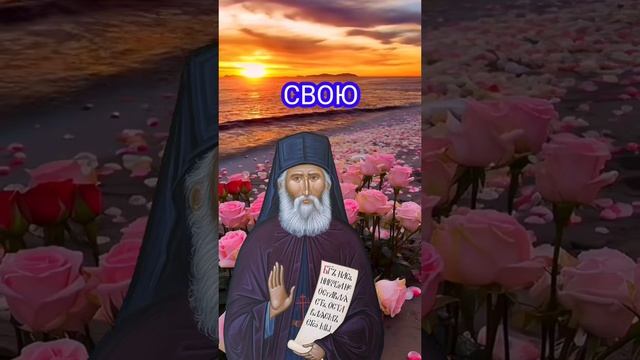 #старецпаисий #мудрыемысли#православие☦️