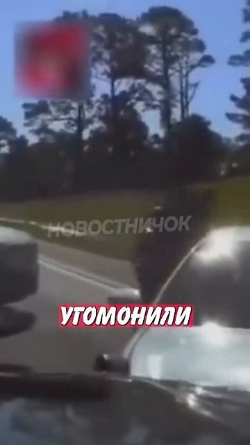 Новостничок (555)