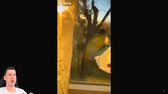ВЛАДУС ( VLADUS ) - 412. ⛔ Эти  БЕЗУМНЫЕ  Тик Токи по Майнкрафту ЗАПРЕЩЕНЫ во всём МИРЕ ! ВЛАДУС