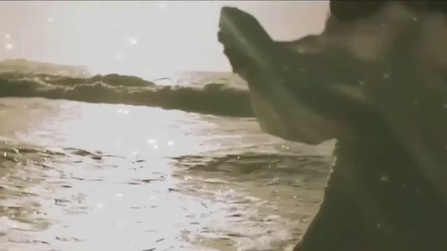TONY CAREY - Room With A View