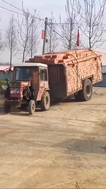 Еще побегает этот красавчик.
