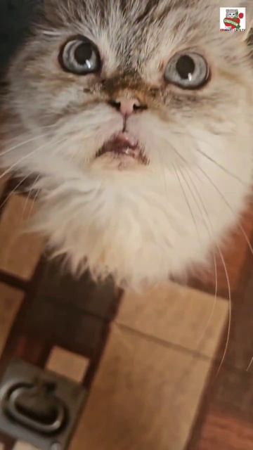Доброе утро Ребята 🌞🥰😻😘❤️