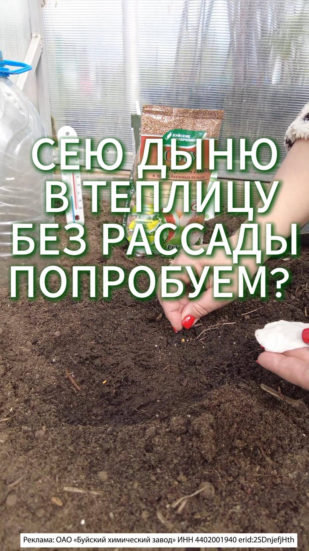 ПОСЕВ ДЫНИ В ТЕПЛИЦУ БЕЗ РАССАДЫ #сад #садоводничество #огород