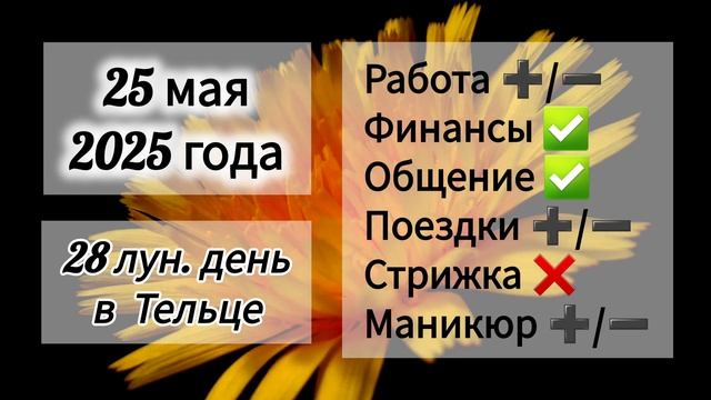 Лунный день 25 мая 2025 года