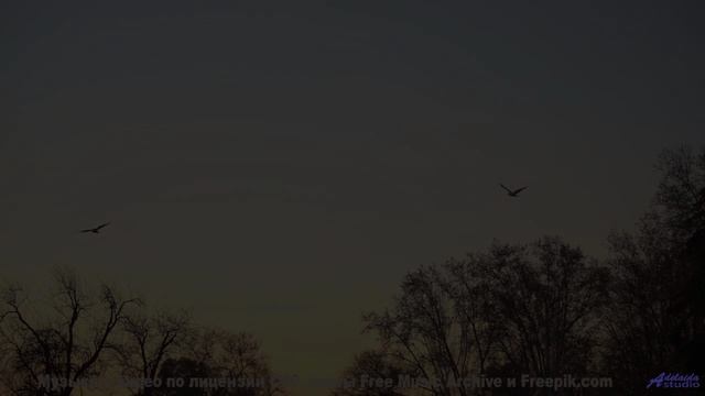Звуки окутывают сильнее любого пледа на закате - Unknown Artist -- Taylor Poe -- Quiet Sound of Disa