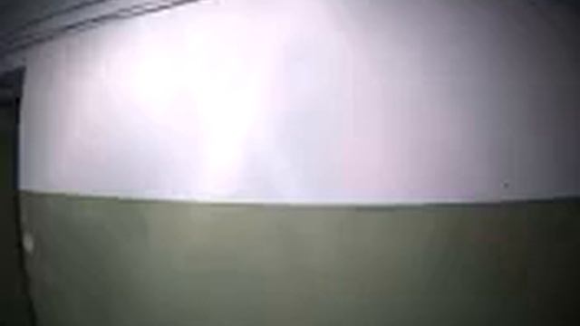 3 ноября 2022 г. цирк переговоры
