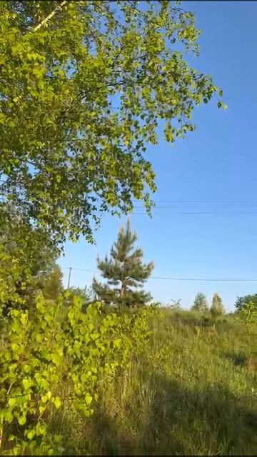 Брянская область , сегодня беспилотник