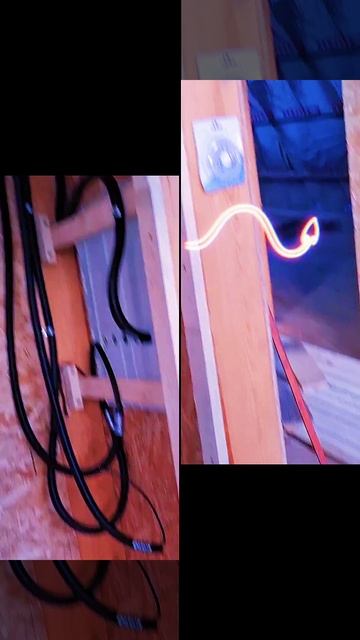 1000024477.mp4 (Собака смотрит на электроснабжение нового дома А-фрейм)