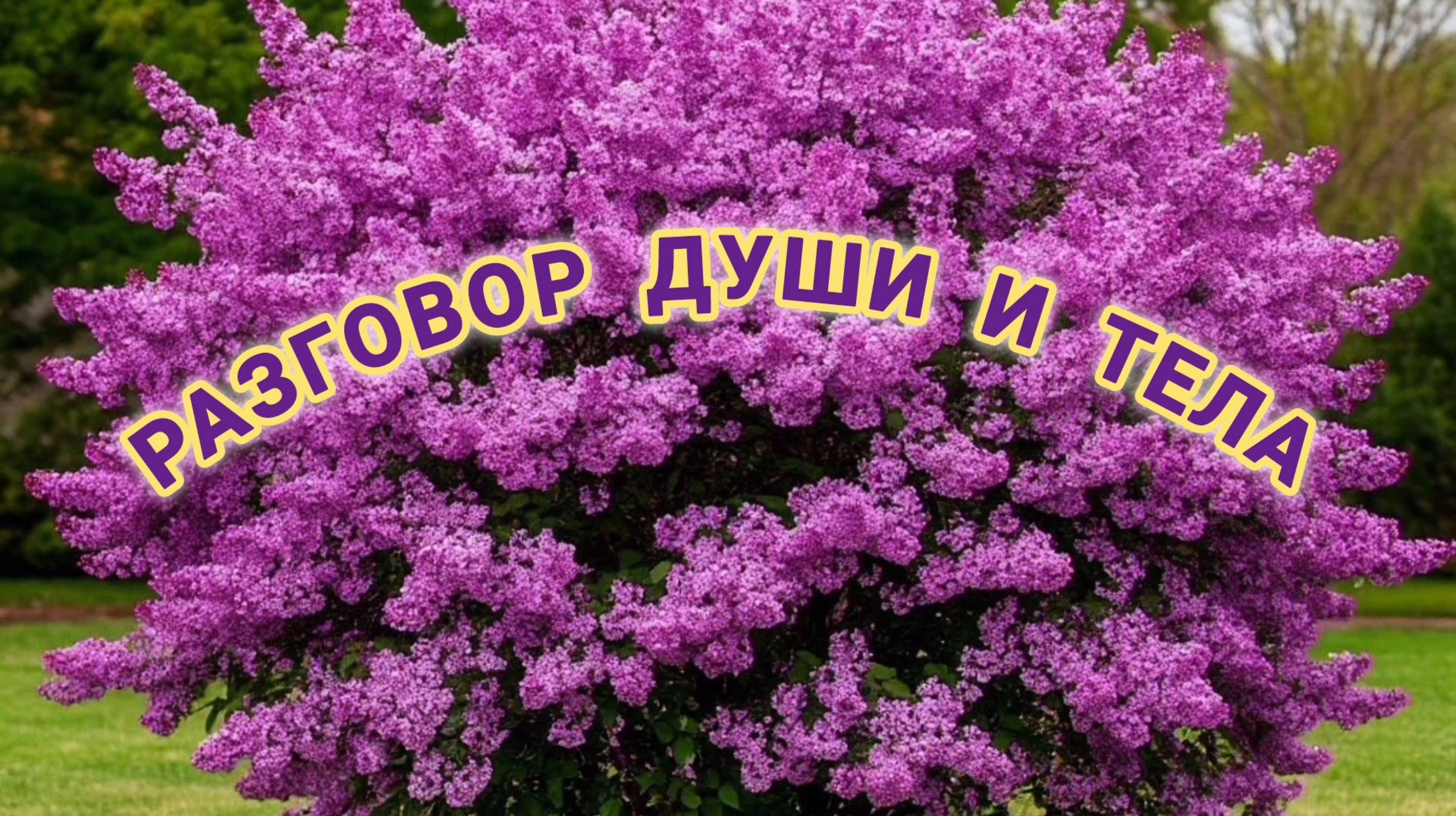 РАЗГОВОР ДУШИ И ТЕЛА.