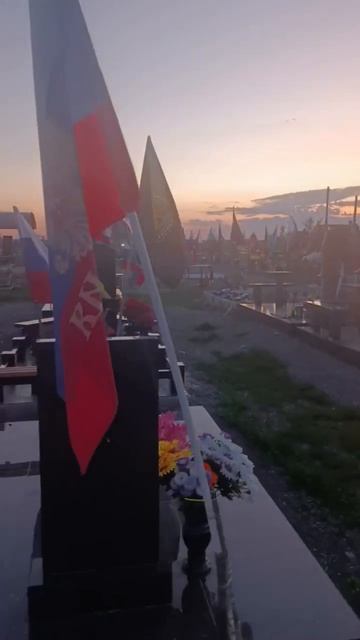 ВОРЫ НА КЛАДБИЩЕ: в Азове на Алле Героев какие-то 😡 выкопали все туи.