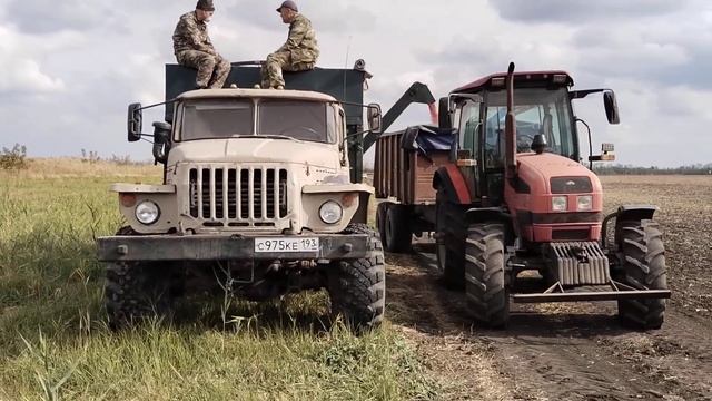 Перегрузка пшеницы на севе