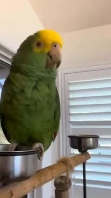 1000006277.mp4