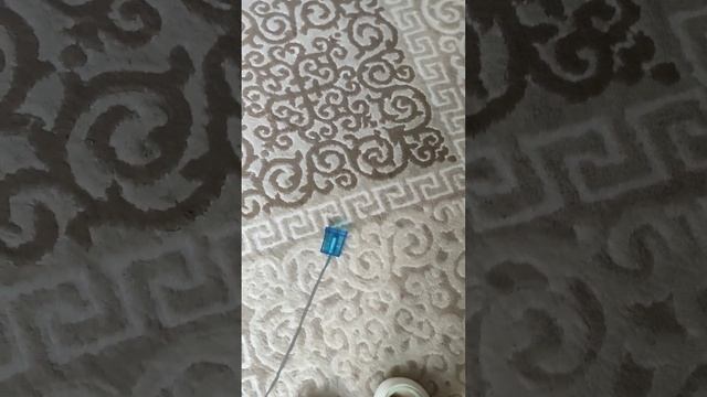 шоу КИС КИС МЯУ😺