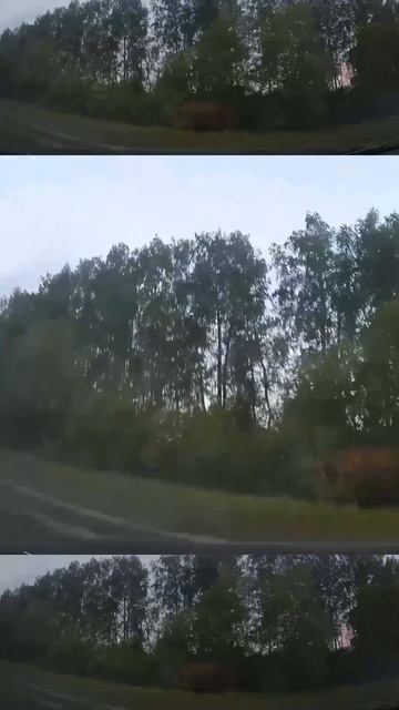 Нашкодил и уехал!