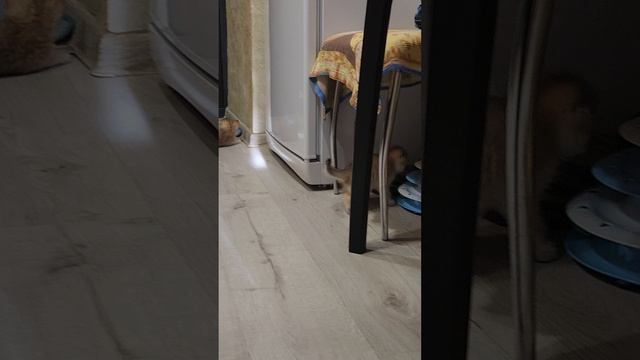 1000116486.mp4