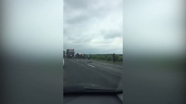 В Башкирии на М-5 произошло лобовое столкновение: двое
