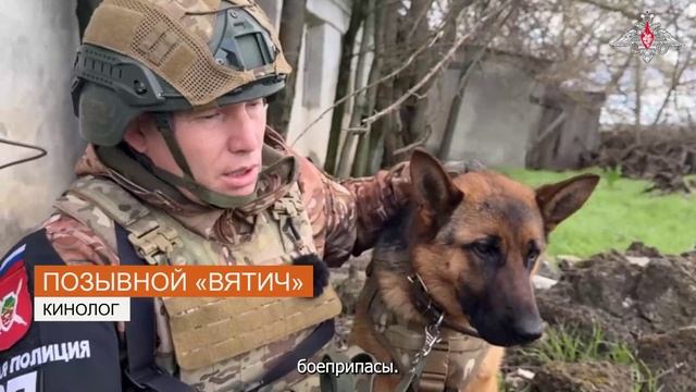 СВО День 1186: Работа кинологических расчетов военной полиции группировки войск «Днепр»