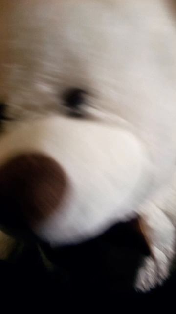 Мой друг