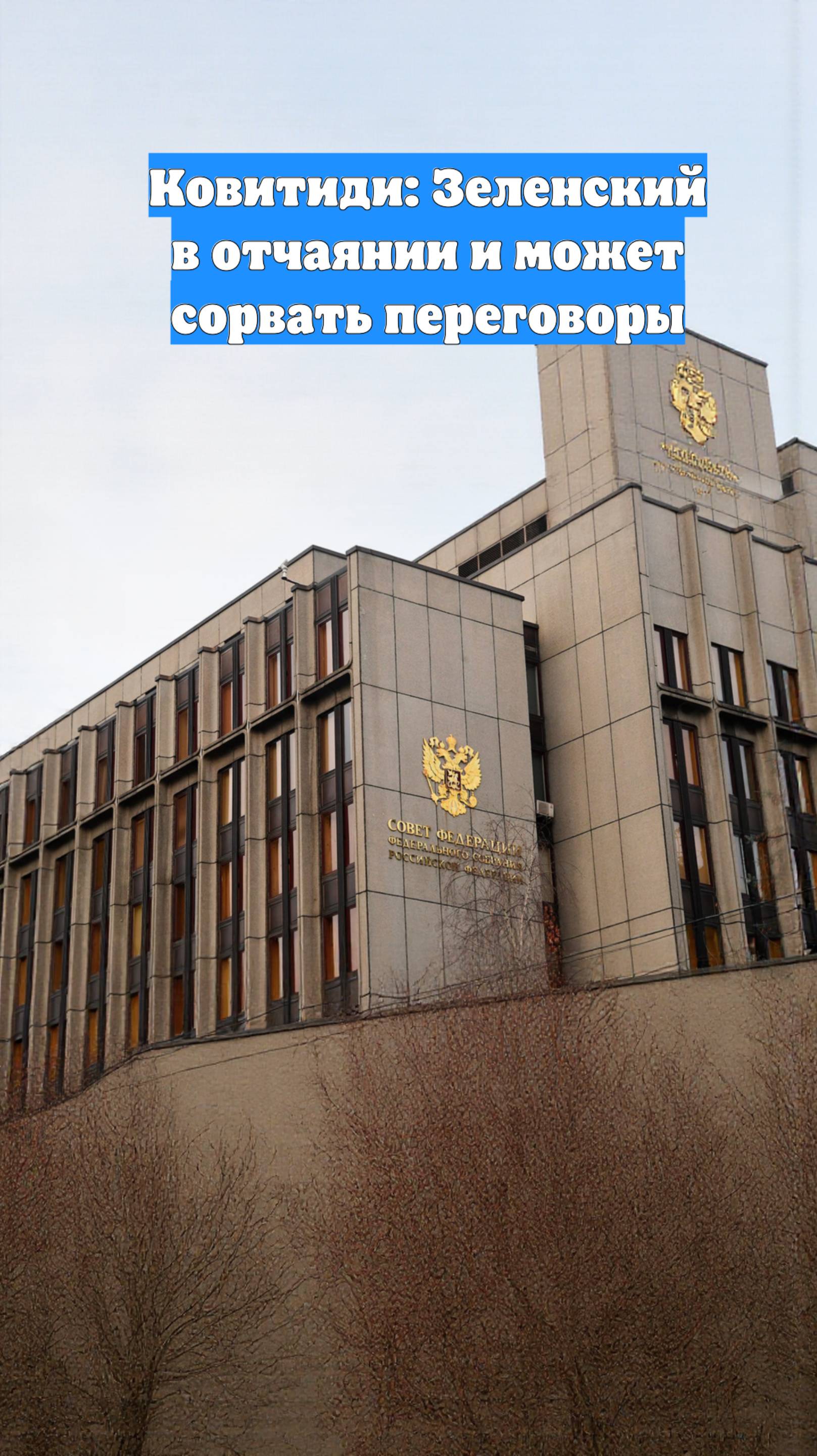 Ковитиди: Зеленский в отчаянии и может сорвать переговоры
