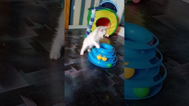 video_20250524_143836.mp4