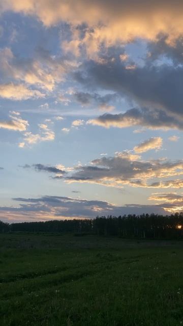 Семейный вечер