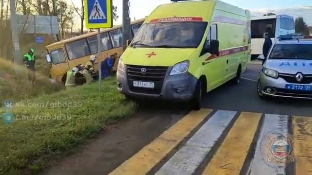 В Славском районе столкнулись два автобуса