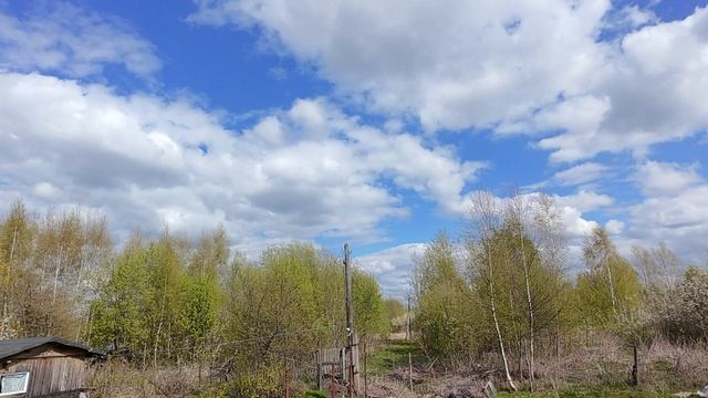 1000006091.mp4