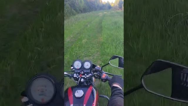 1000308334.mp4