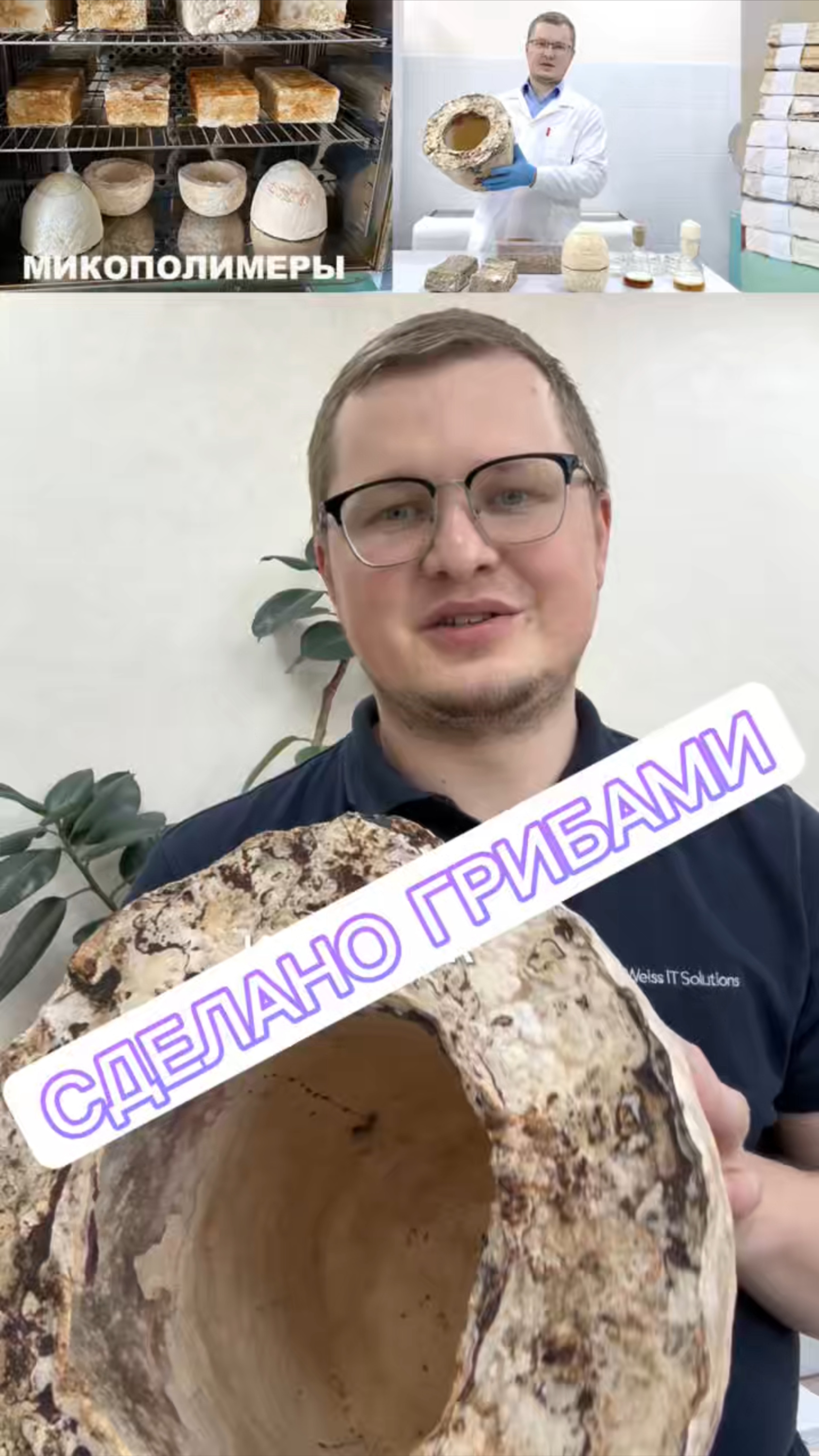 Поддержи грибные проекты!