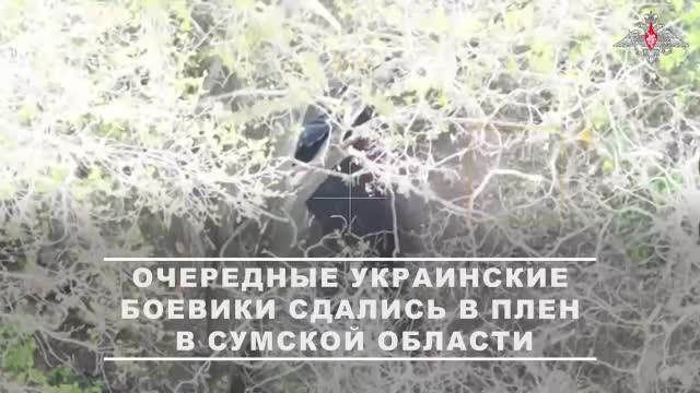 Военнослужащие мотострелкового полка группировки войск «Север» в ходе штурма захватили в плен чет...