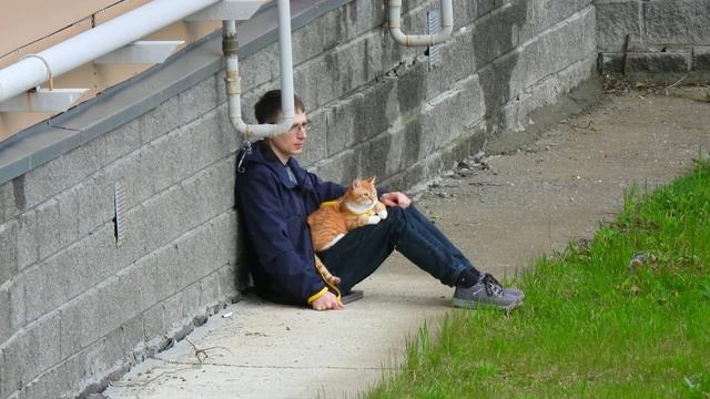 Рыжий кот без сапог