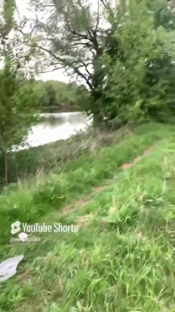Рыбаки ловили рыбку и #ореховозуево #россия #рыбалка #рыбак #улов#прикормка #россия1 #оборотни