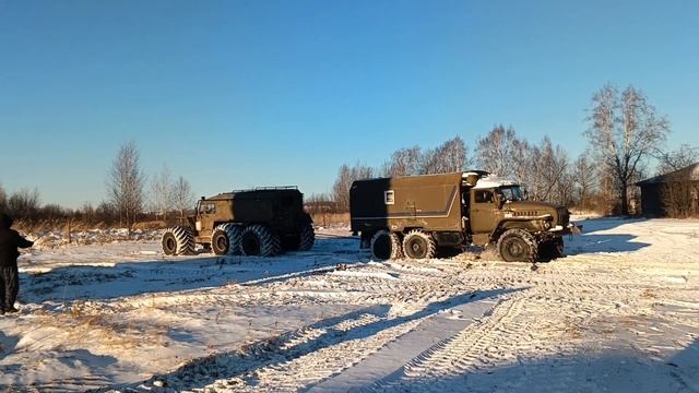 8 ноября 2024 г.
