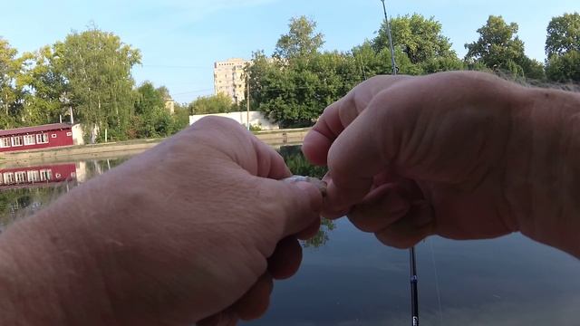 мормышинг в парке.