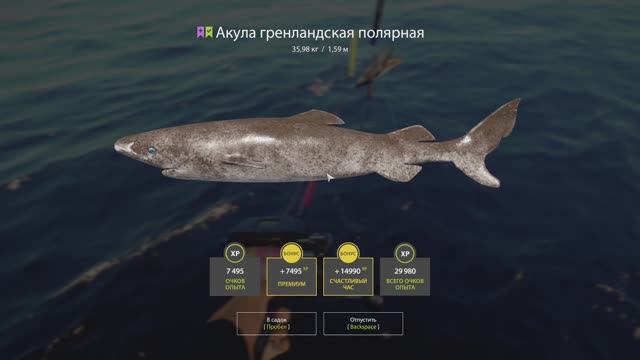 Русская рыбалка 4. Норвежское море. Акула гренландская