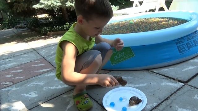 MISTER MAX | МИСТЕР МАКС - Шарики орбиз и улитки