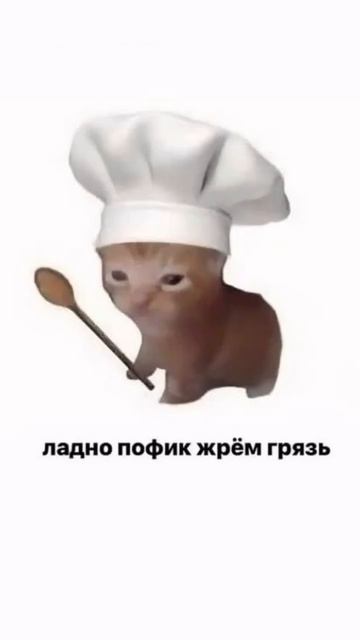 Я устал мыть рис... Может ему еще и...