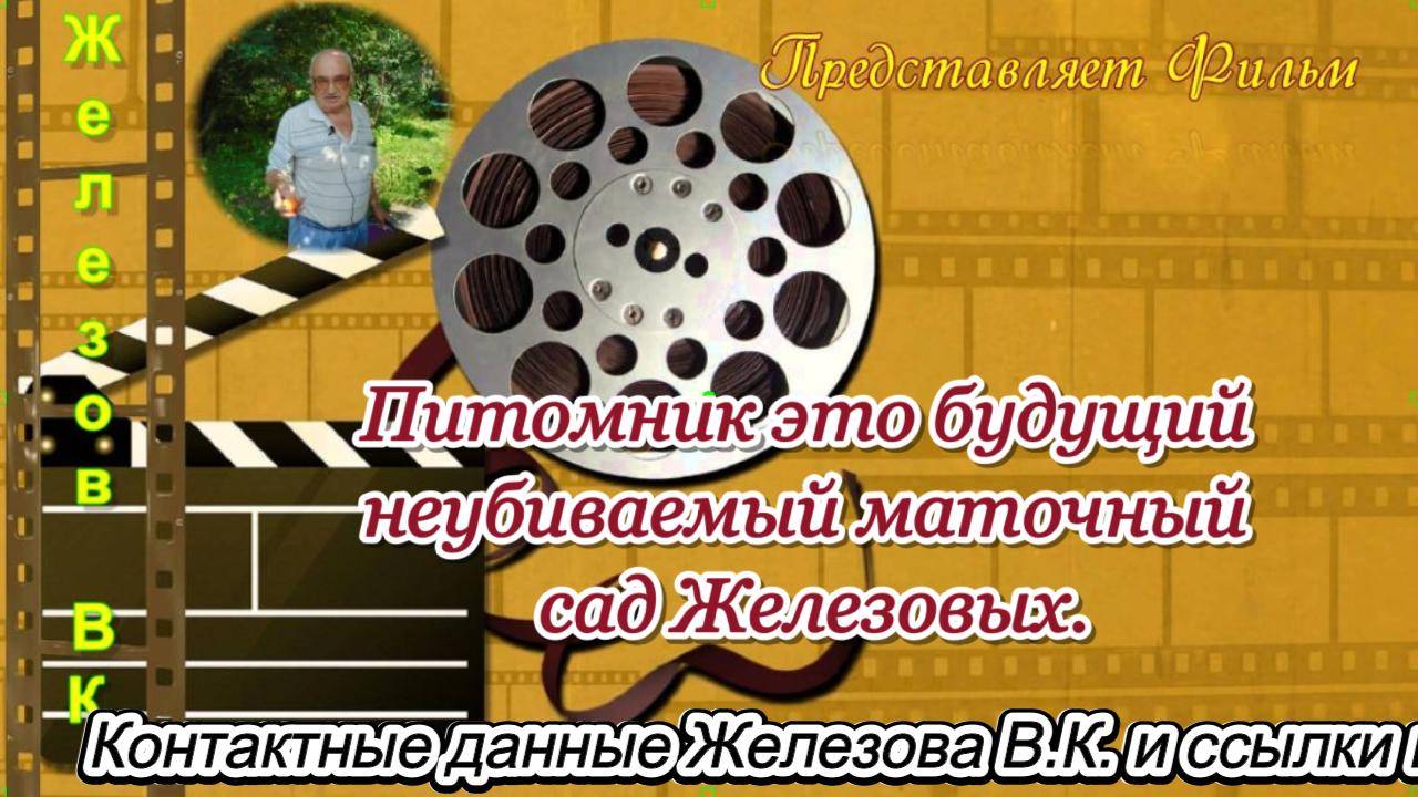 Питомник это будущий неубиваемый маточный сад Железовых.