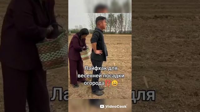 24-05-2025. Посадка картошки в пригороде Якутска.