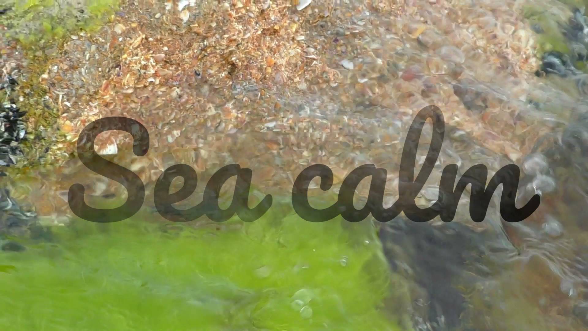 Sea calm