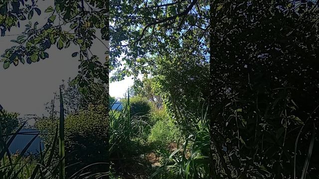 Таро.Мужчина сегодня.